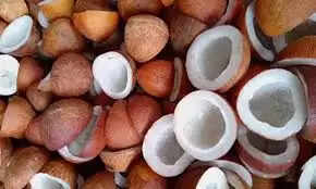 தேங்காய்