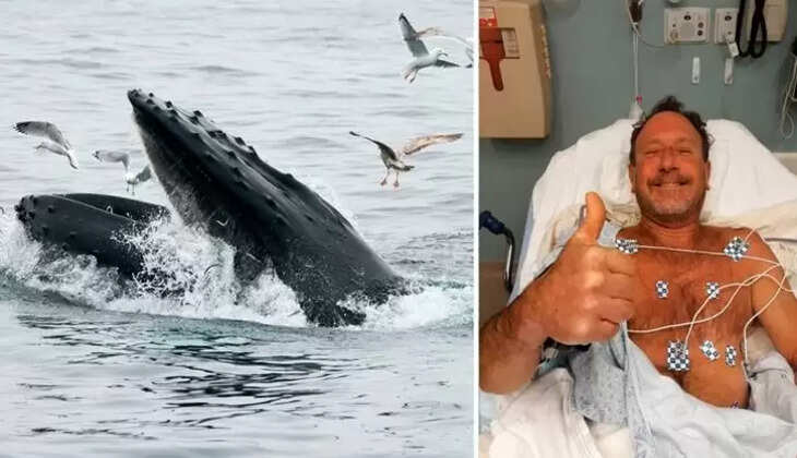 மைக்கேல் பேக்கார்ட் 