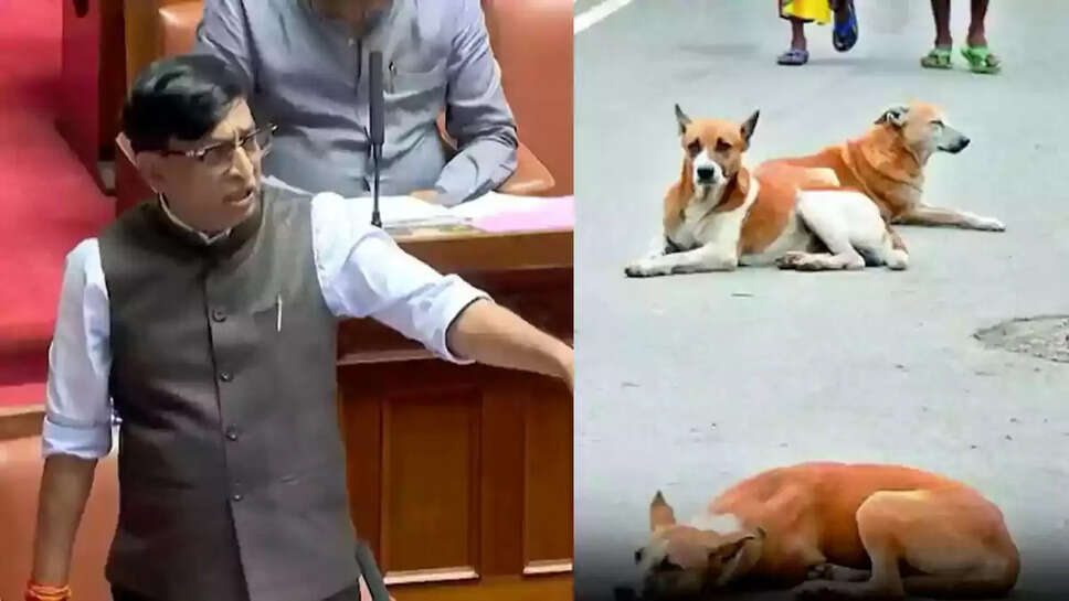 போஜே கவுடா