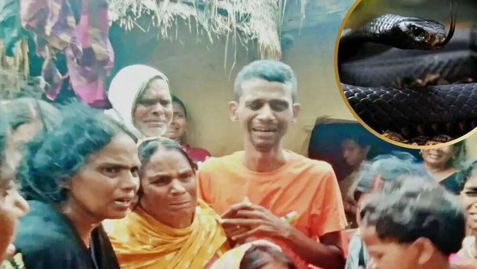 பாம்பு கடித்து மரணம்