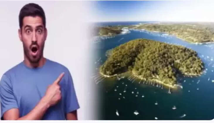 மருத்துவர்