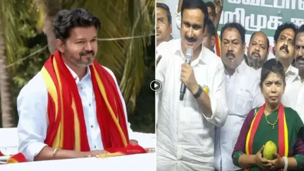 அன்புமணி 