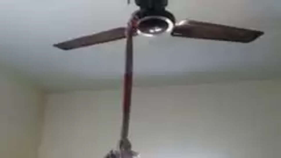 சேலையில் தூக்கிட்டு தற்கொலை