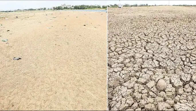 திருச்சி காவிரி வறட்சி வறண்டு