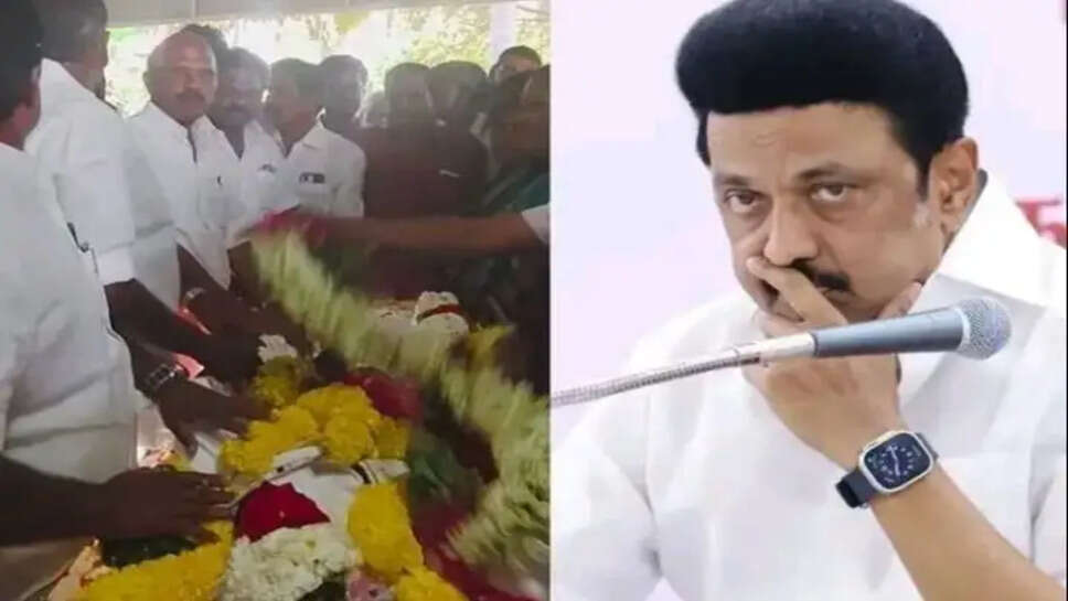 தேசிங்கு ராஜன்