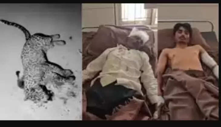 சிறுத்தை