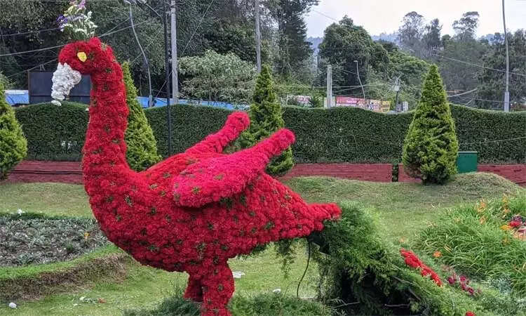 மலர்க் கண்காட்சி