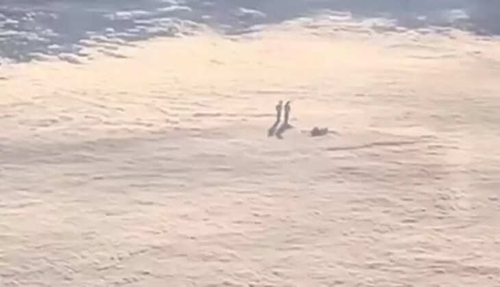 ஏலியன்கள் 