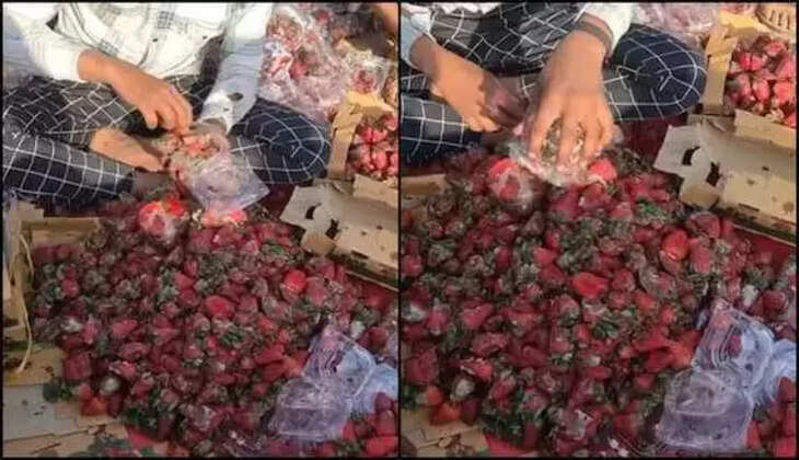 அதிர்ச்சி வீடியோ... செக் பண்ணி வாங்குங்க மக்களே... &nbsp;பூஞ்சை பிடித்த ஸ்ட்ராபெரிகள் பேக்கிங்!&nbsp;