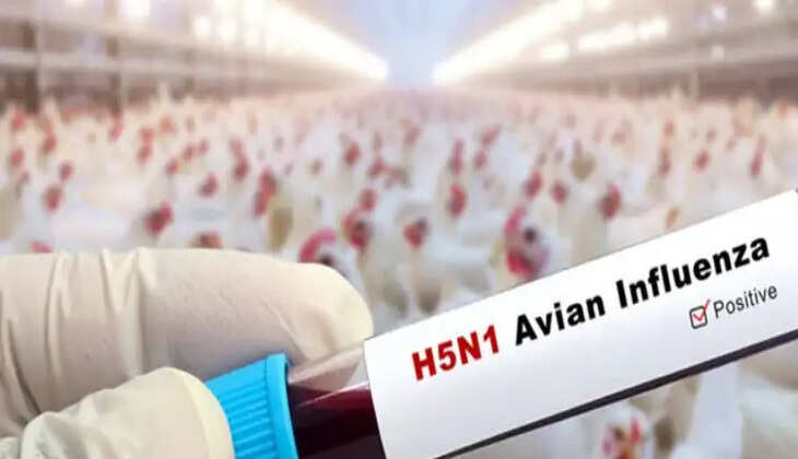 எச்5என்1