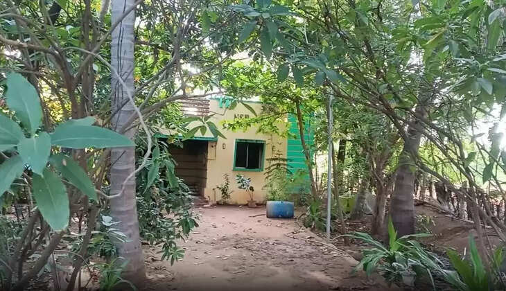 வீடு தோட்டம்  கொலை