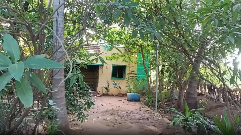 வீடு தோட்டம்  கொலை