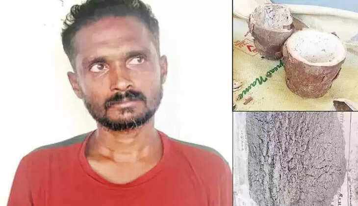 மரவள்ளி வெடிகுண்டு