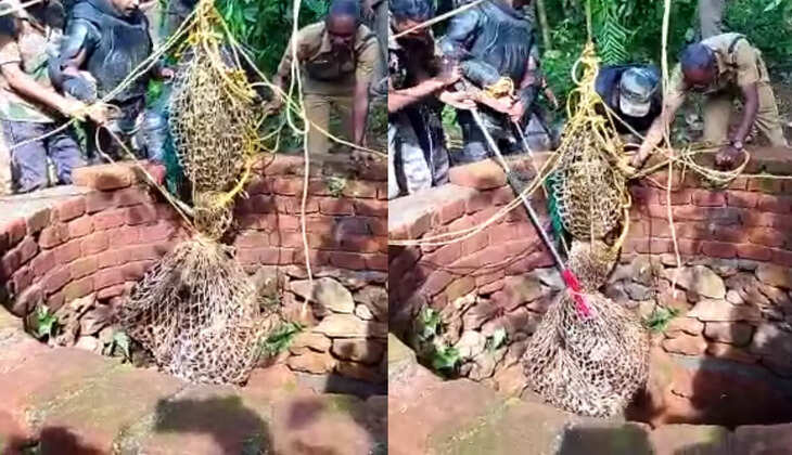 சிறுத்தை