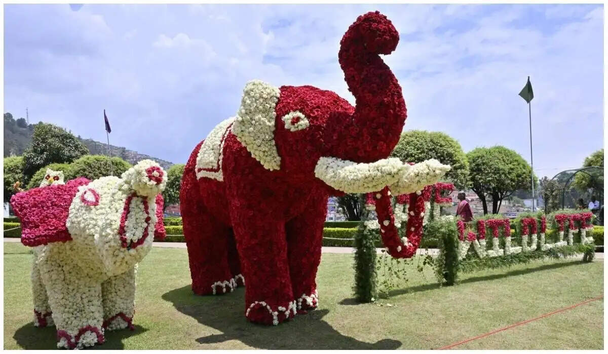 மலர் கண்காட்சி