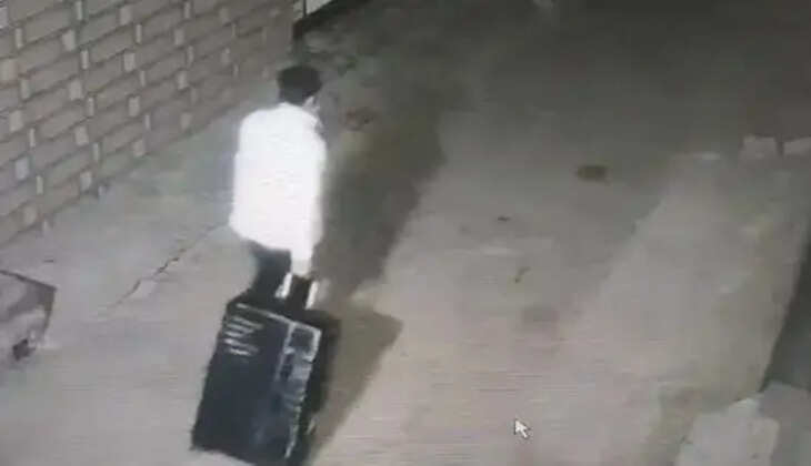 நர்வால்