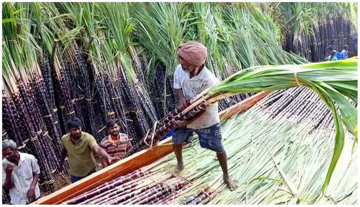 கரும்பு