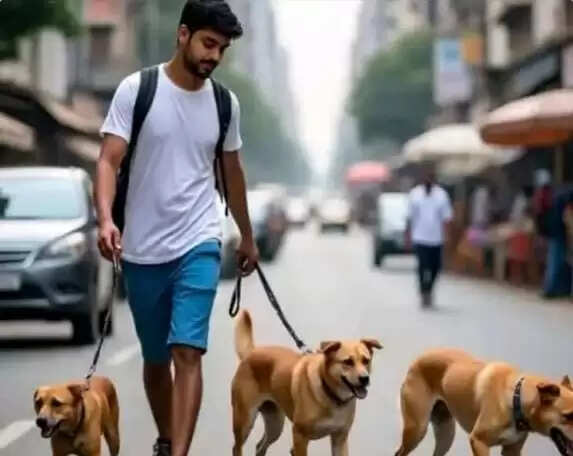 நாயை வாக்கிங்