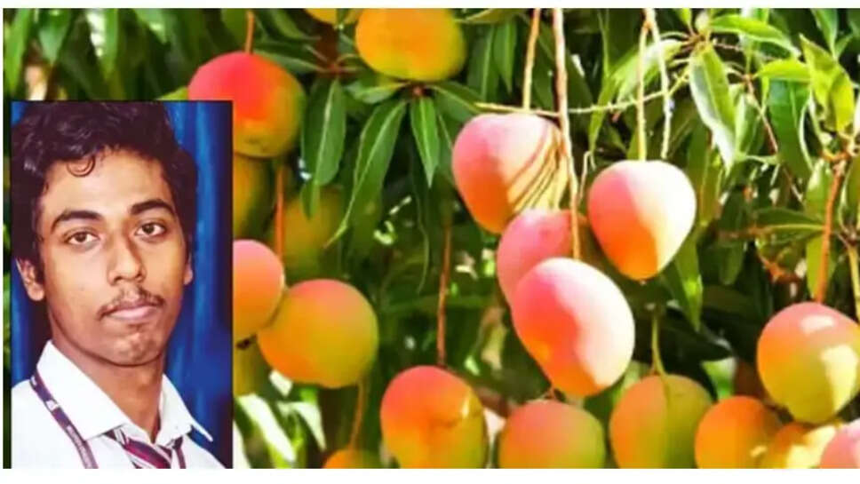 மாம்பழம்