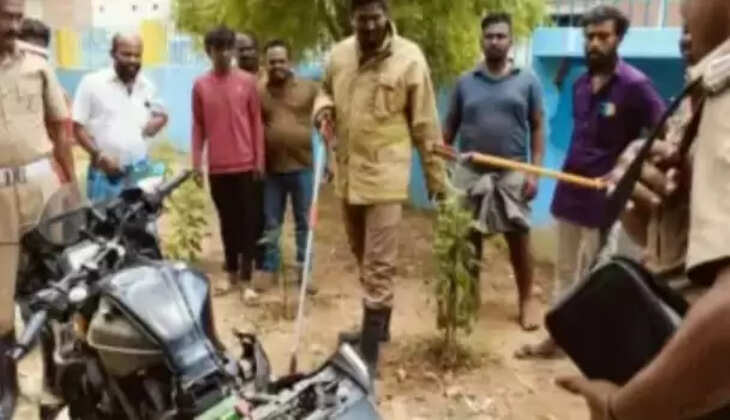 பிரதீப் 