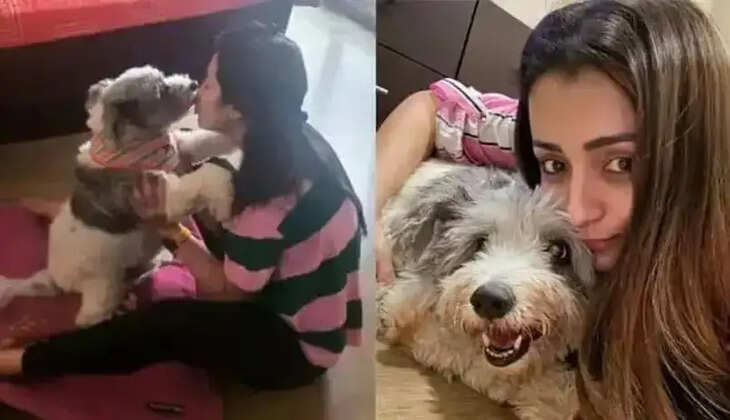 நடிகை த்ரிஷா