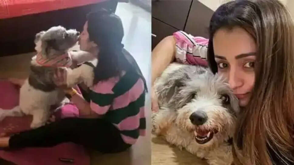 நடிகை த்ரிஷா