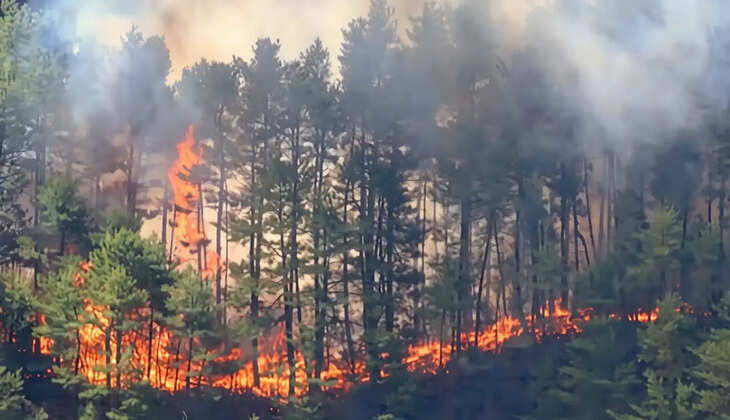 ஜப்பான் காட்டுத்தீ