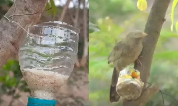 பறவைகளுக்கு தண்ணீர்