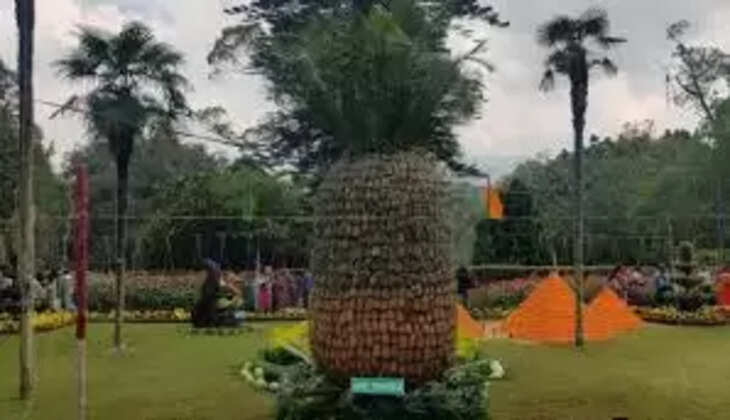 பழக்கண்காட்சி