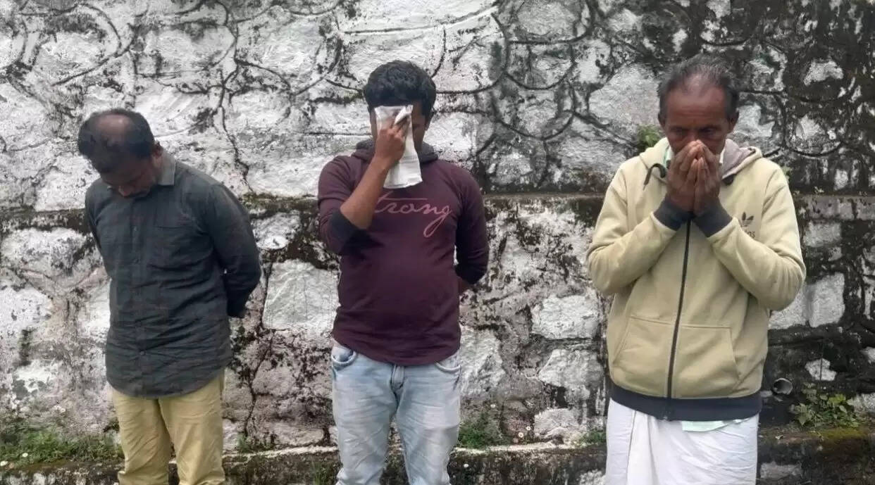 யானை தந்தம்