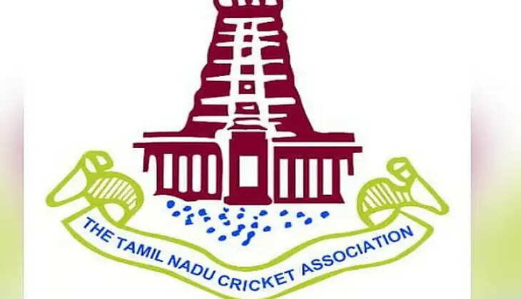 கிரிக்கெட்