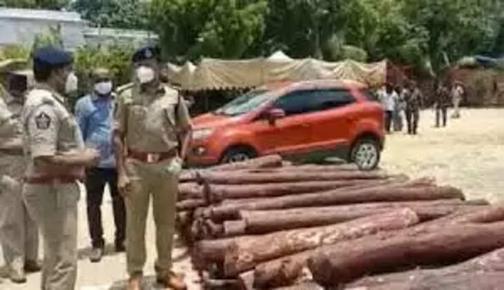 செம்மரம்