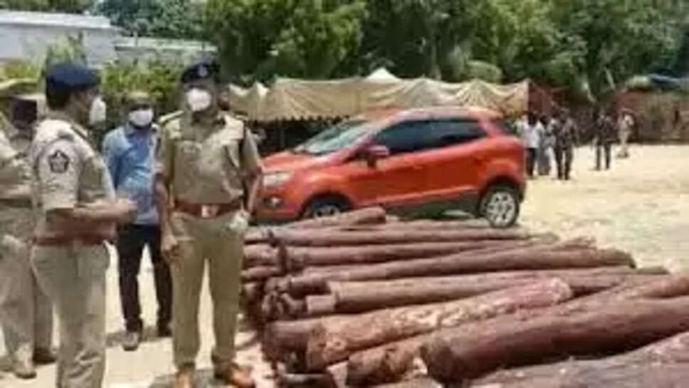 செம்மரம்