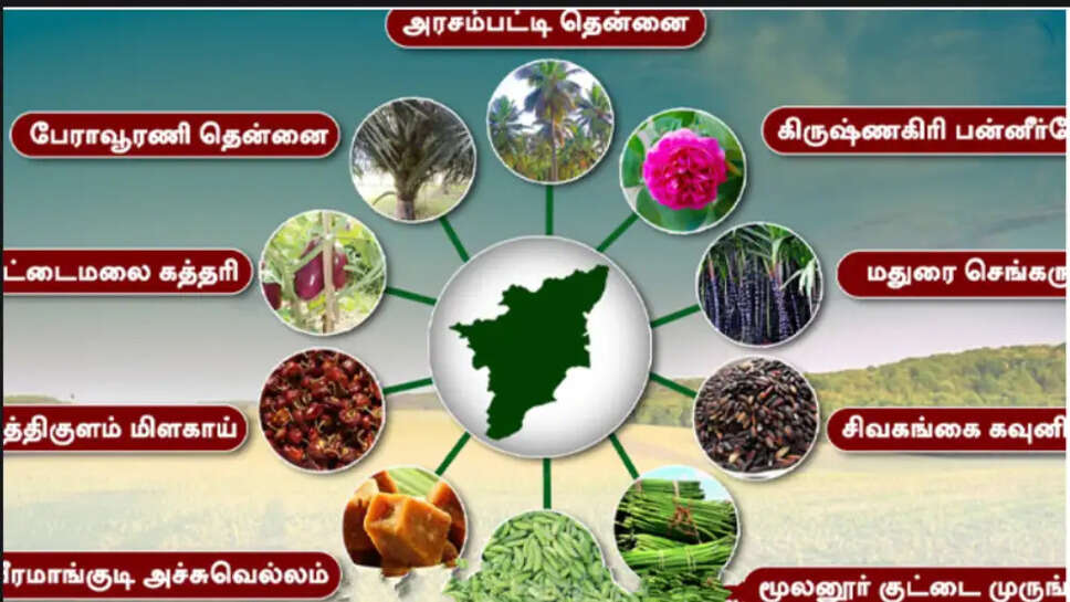 புவிசார் குறியீடு