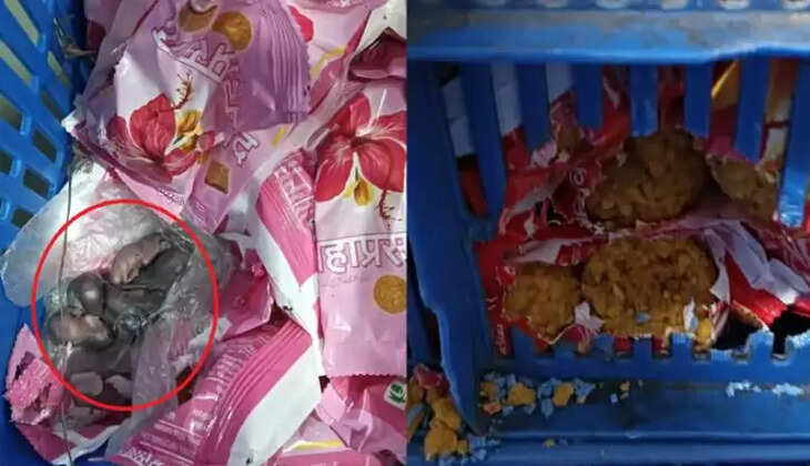 மும்பை லட்டு