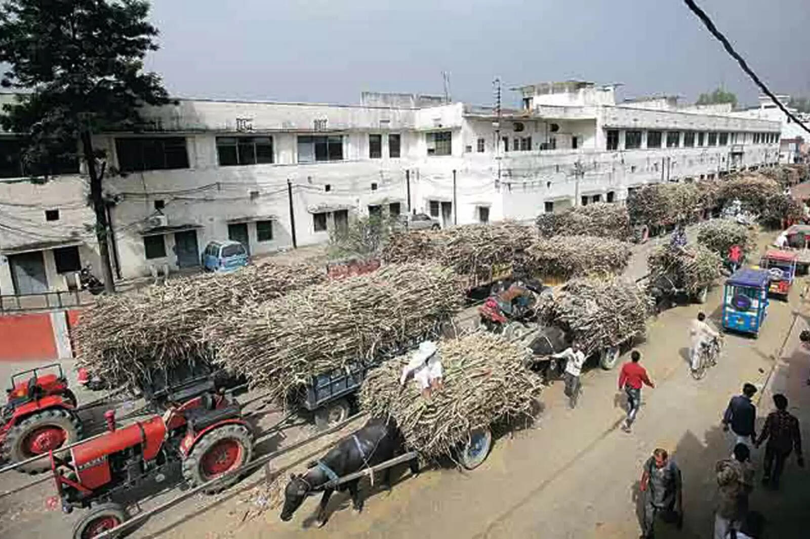 கரும்பு டிராக்டர்