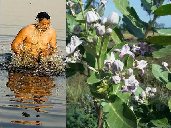 ரத சப்தமி