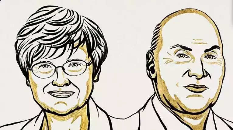 Katelyn Carrico, Drew Wiseman