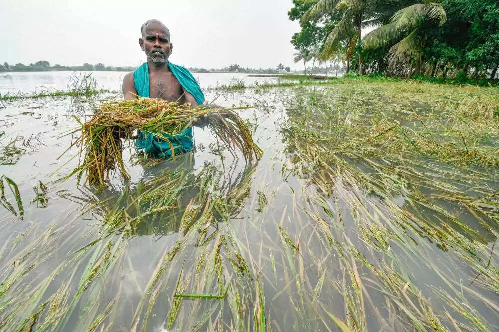 விவசாயி