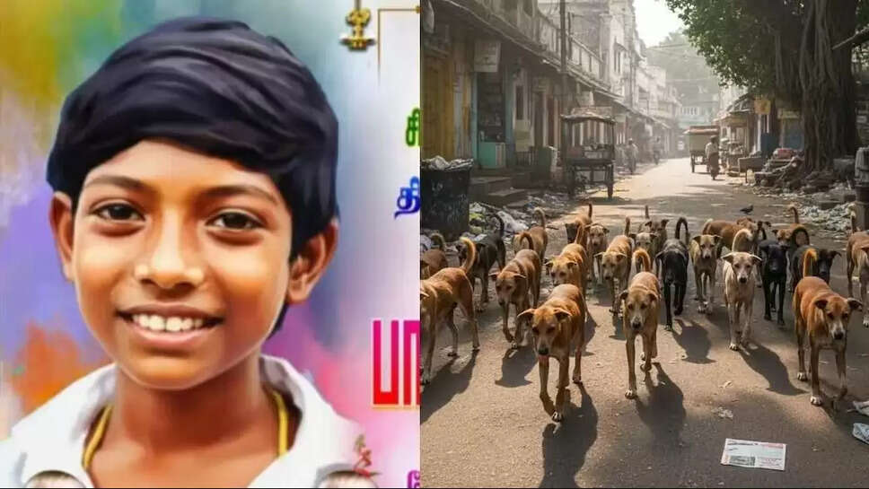 தெருநாய்