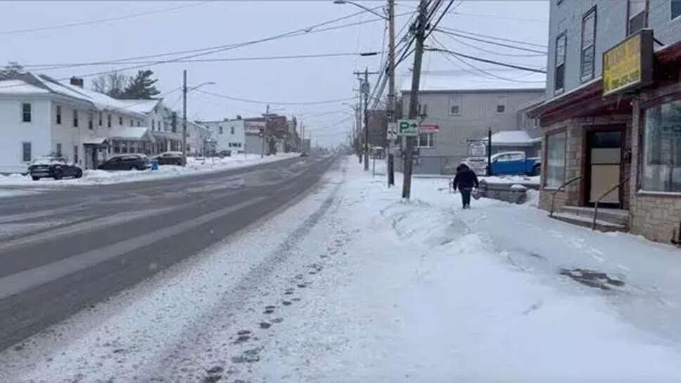 பனிப்புயல்