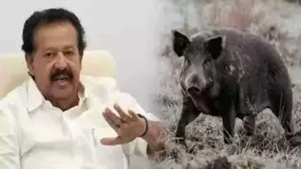 பொன்முடி 