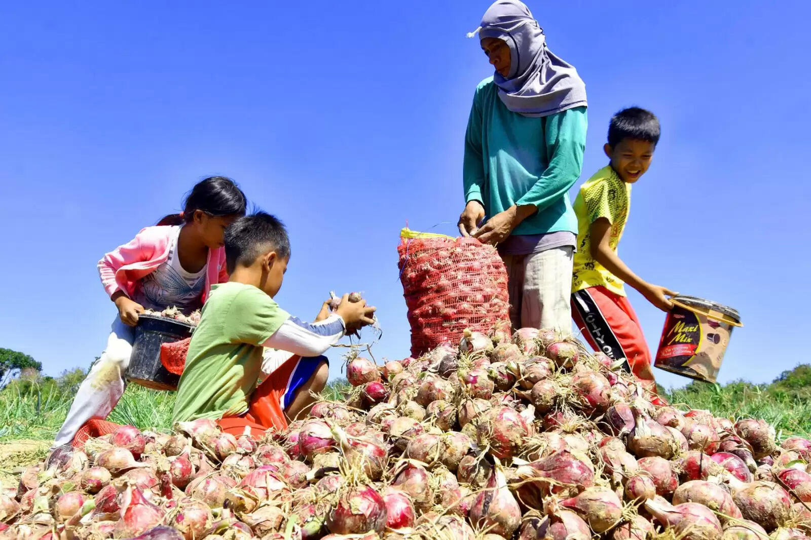 வெங்காயம்