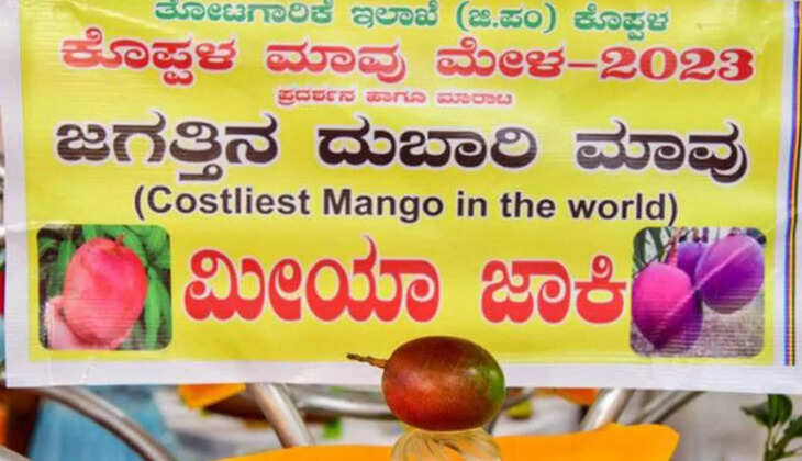 மாம்பழம்