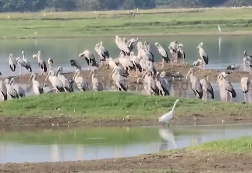 ஆரணி பறவைகள் ஏரி
