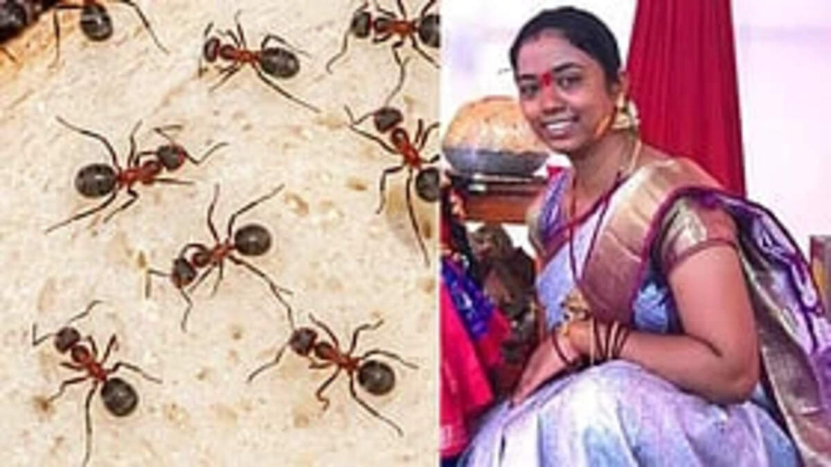 எறும்பு