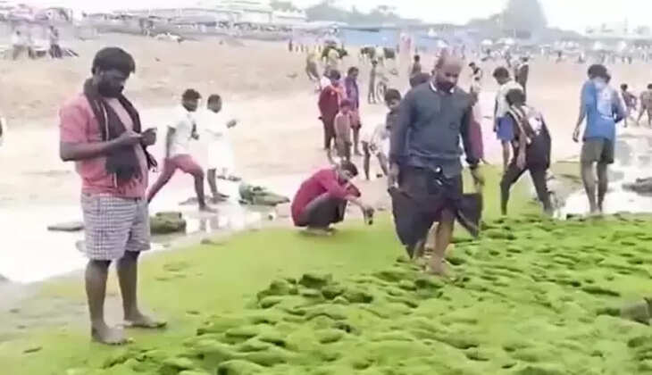 திருச்செந்தூர் கடல்