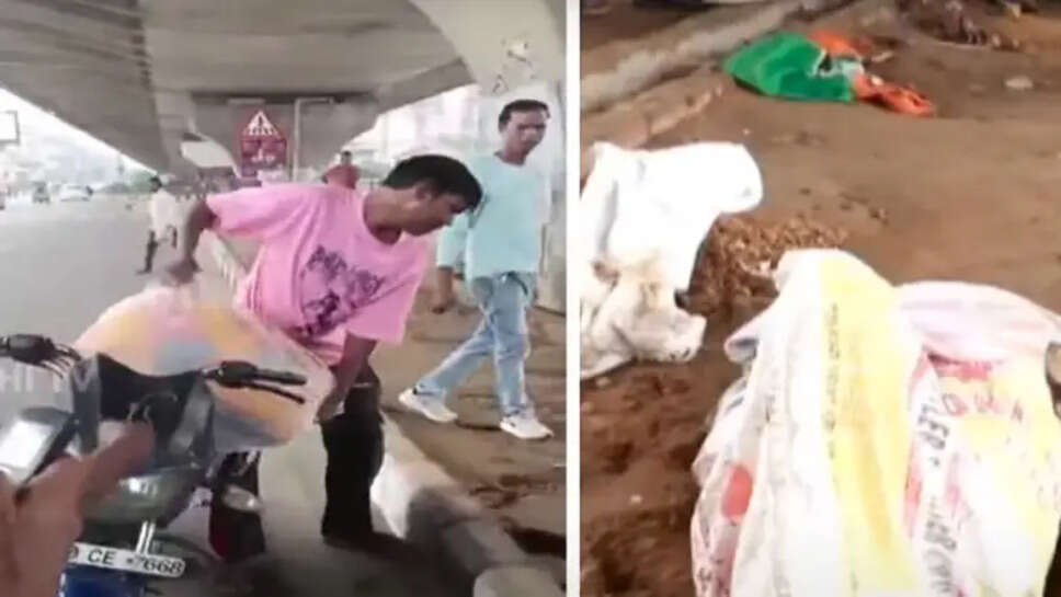 பஞ்சாப்