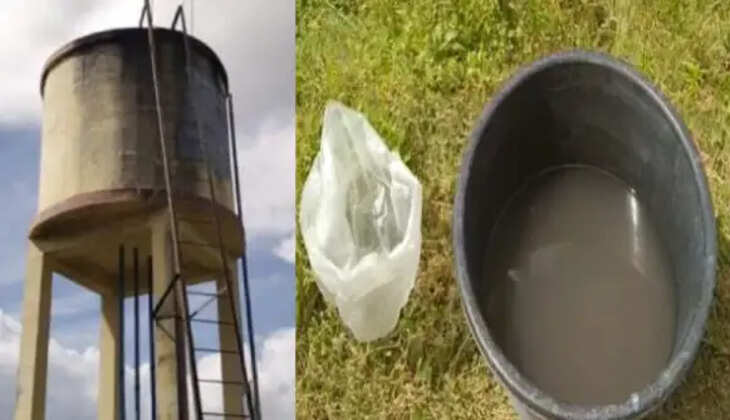 வேங்கை வயல்