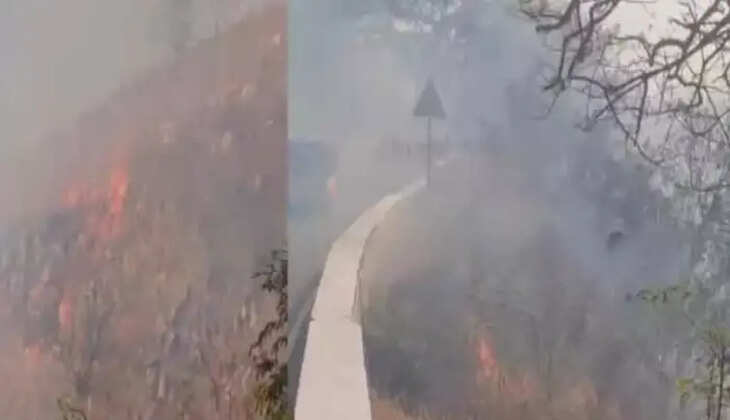 ஏலகிரி தீ